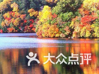 静谧飞行