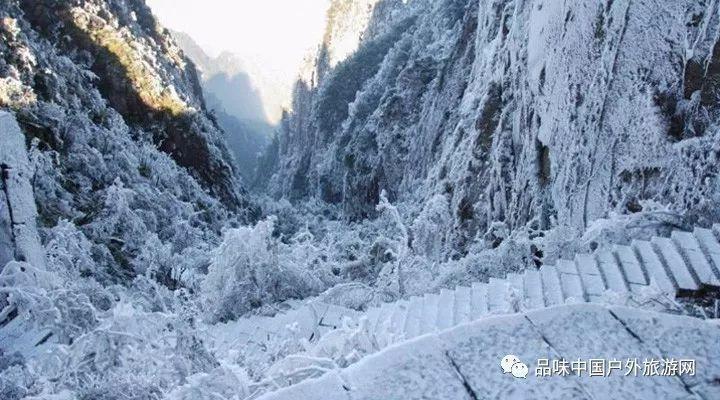 两会新视野 任达:推动“三医”联动 让医疗资源惠及乡村百姓